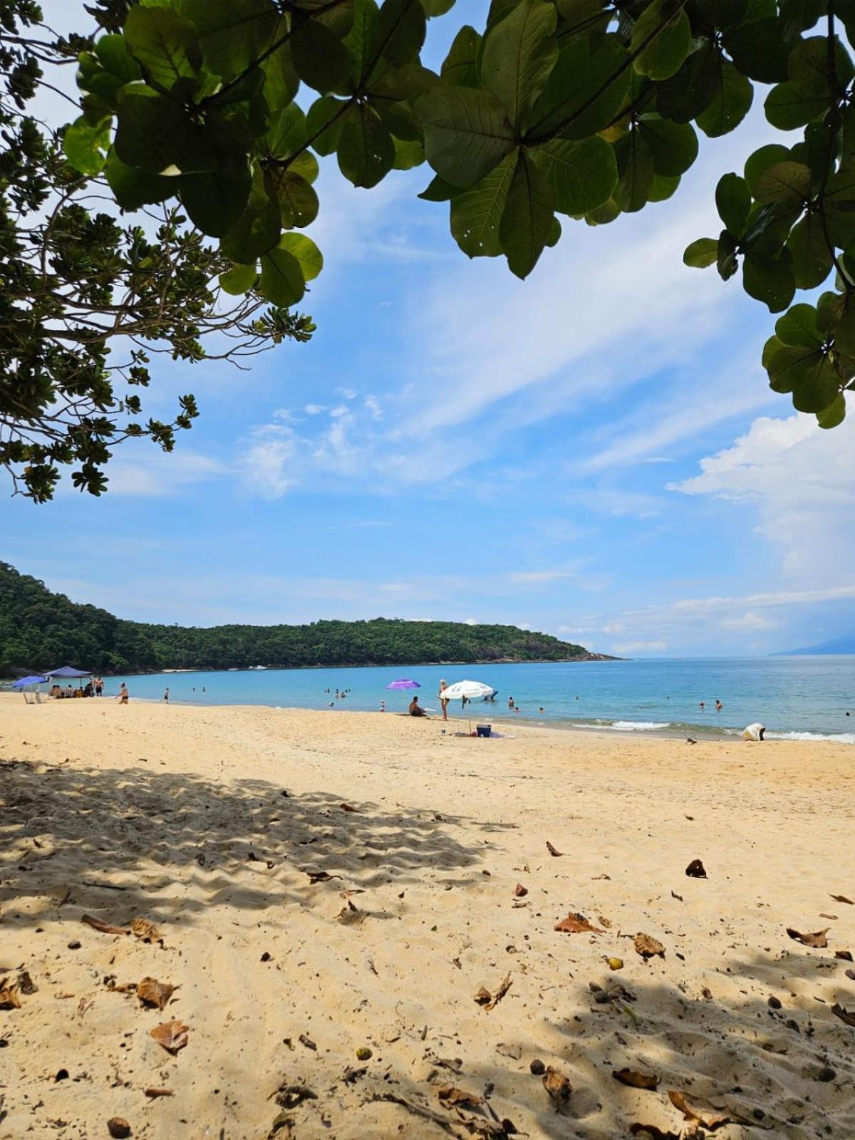 Sea Breeze *